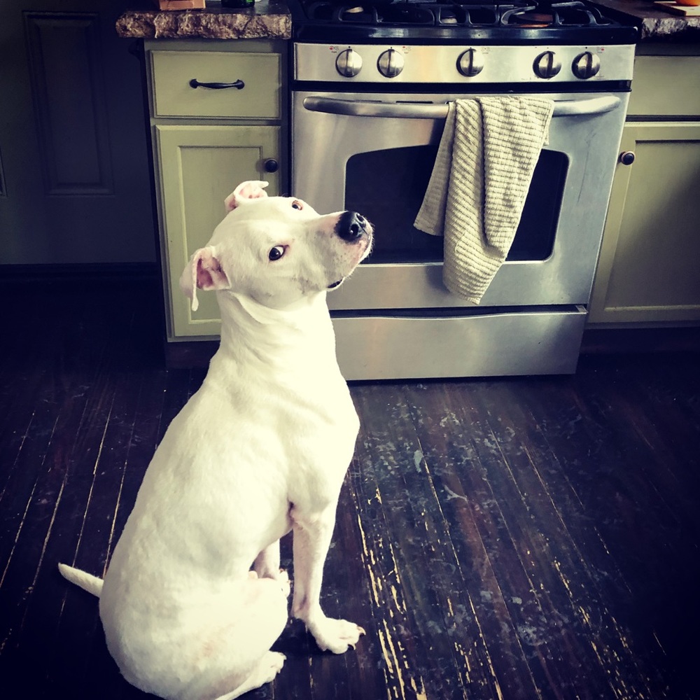 Meet your Posher, Marcy